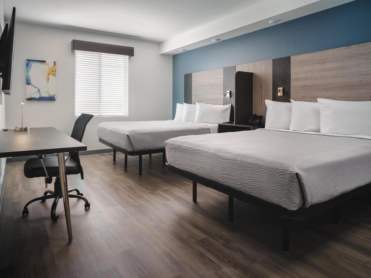 Stayapt Suites San Antonio-Randolph Live Oak Buitenkant foto